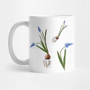 Muscari flowers Mug